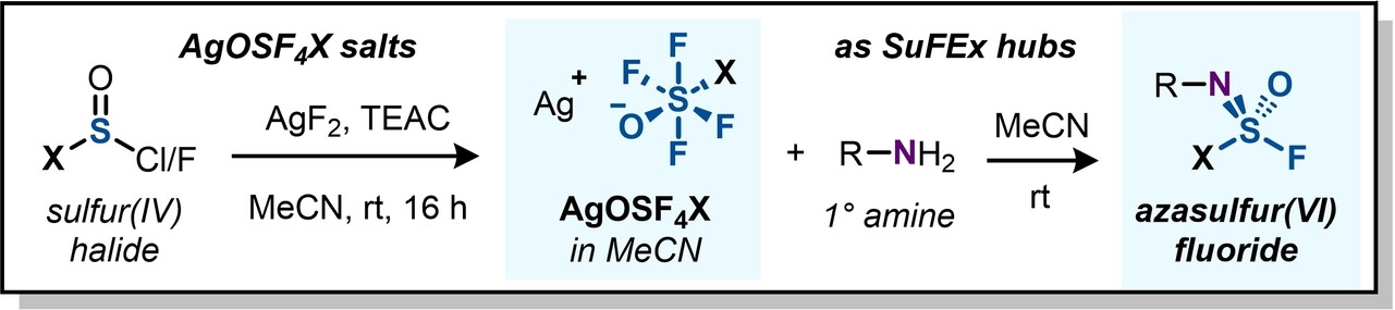 Perfluorooxosulfate Salts as SOF4-Gas-Free Precursors to Multidimensional SuFEx Electrophiles