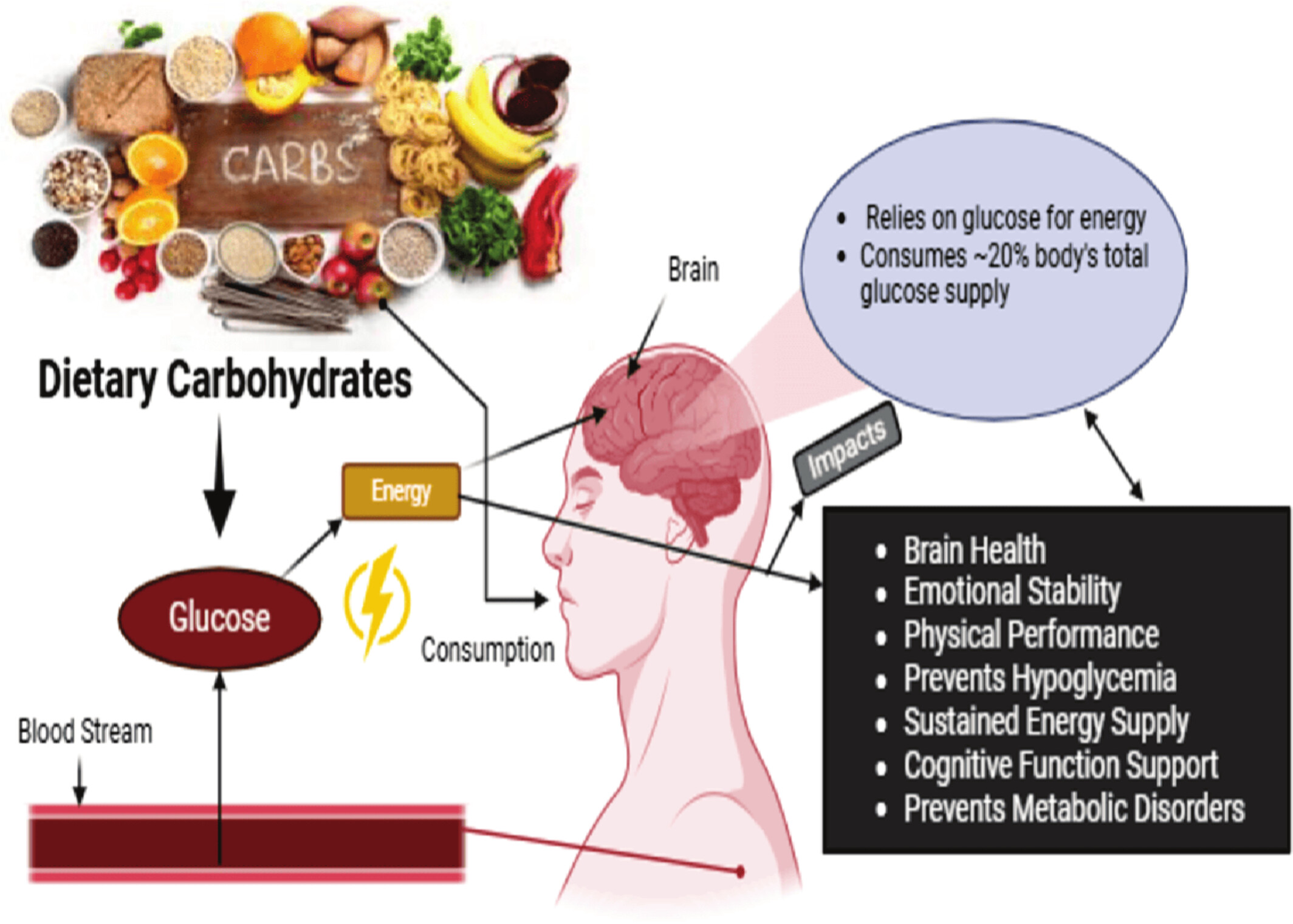 Role of Dietary Carbohydrates in Cognitive Function: A Review