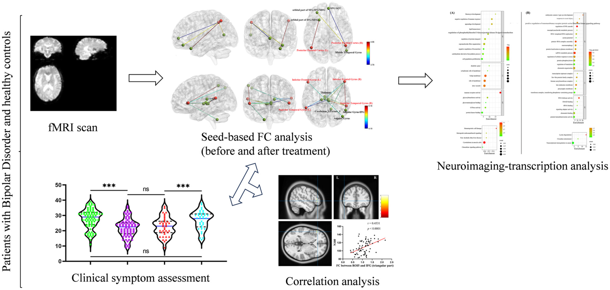 Fronto-Parietal and Language Network Connectivity and Its Association With Gene Expression Profiles in Bipolar Disorder Before and After Treatment