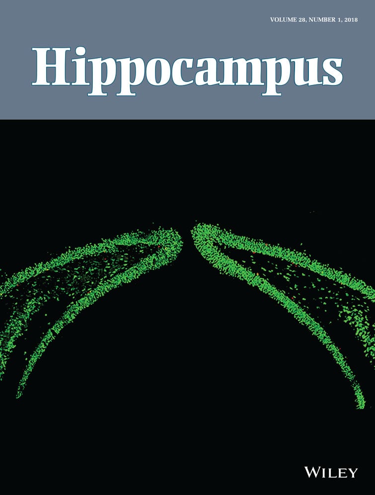 Hippocampus