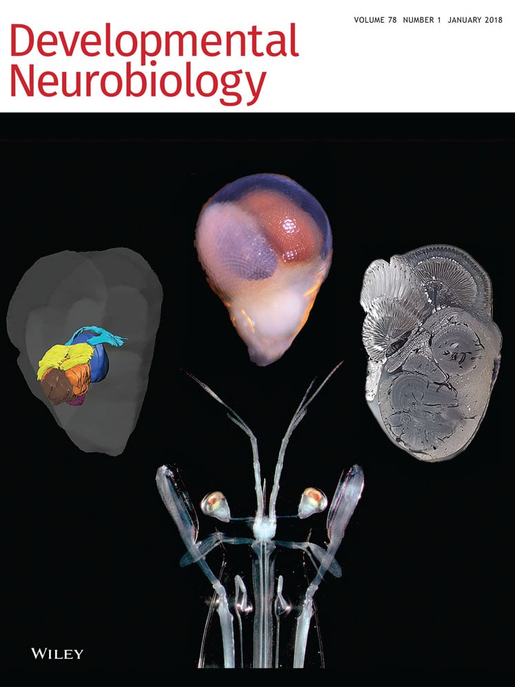 Developmental Neurobiology