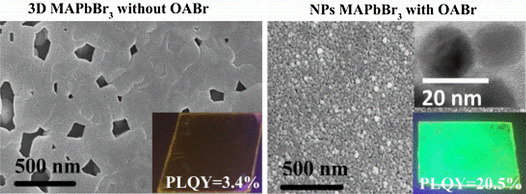 Modulating Excitonic Recombination Effects through One-Step Synthesis of Perovskite Nanoparticles for Light-Emitting Diodes