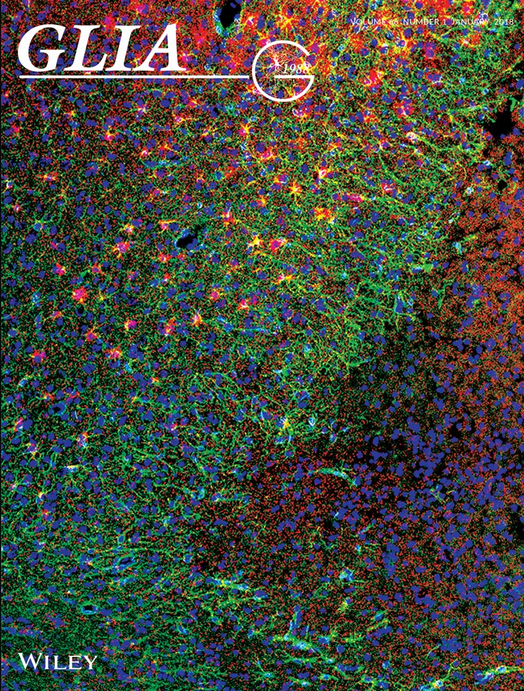 GLIA