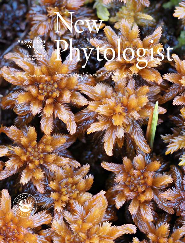 New Phytologist