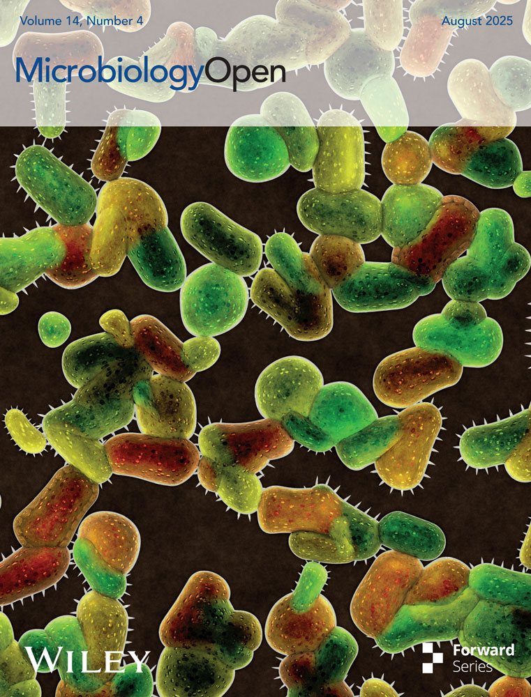 Cover image for MicrobiologyOpen