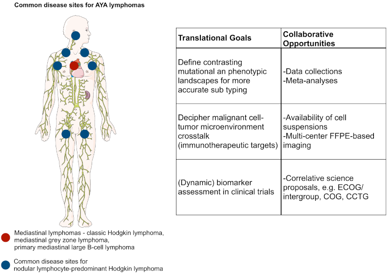 Lymphoma in adolescents and young adults: Navigating a path forward together
