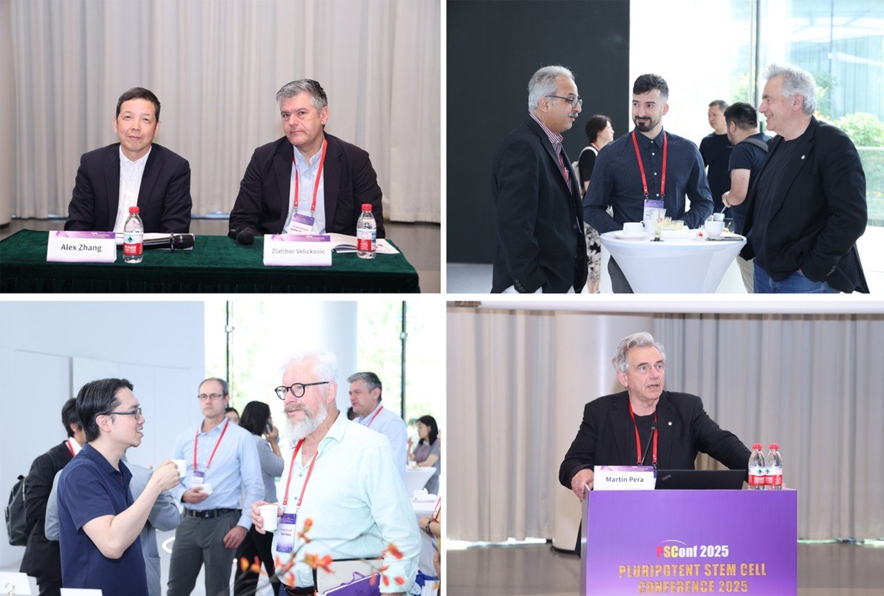 Initiated by the Beijing Institute of Stem Cell and Regenerative Medicine and jointly organized with over a dozen leading institutions including the International Stem Cell Alliance (ISCA) and the Institute of Zoology, Chinese Academy of Sciences, the PSConf International Pluripotent Stem Cell Conference has established itself as a high-end global platform in the stem cell field. Photos of Professor Hu Baoyang, Chairman of the Conference and Executive Director of the Beijing Institute of Stem Cell and Regenerative Medicine