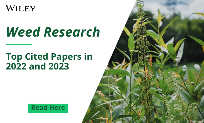 Most Cited articles 2023