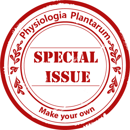 Special Issues