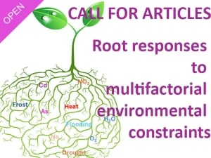 Call for articles: Root responses to multifactorial environmental constraints