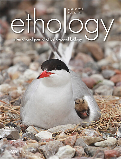 Cover Picture and Issue Information