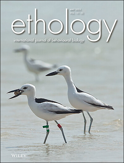 Cover Picture and Issue Information