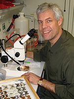 Johannes Steidle