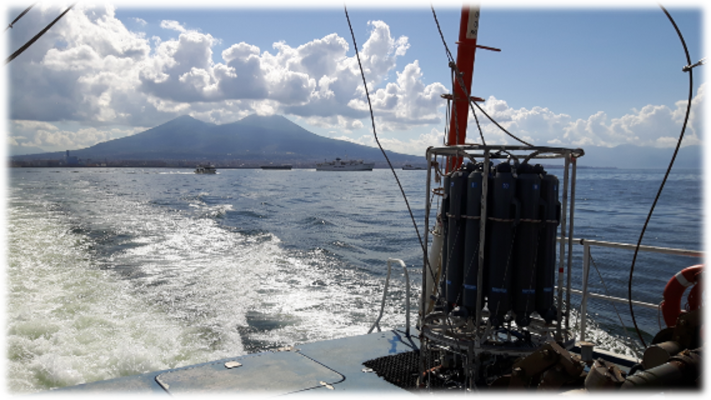 Plankton Ecology in the Gulf of Naples