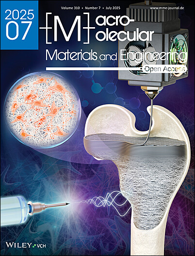 Nanofiber-Coated CF/PEEK Composite: Boosting Osteogenesis for Enhanced Bone Grafting