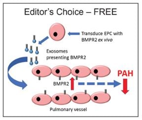 Editor's Choice