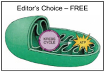 Editor's Choice