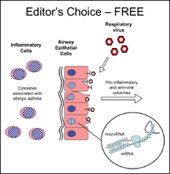 Editor's Choice