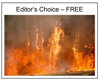 Editor's Choice