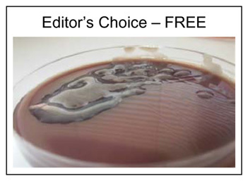 Editor's Choice
