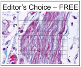Editor's Choice