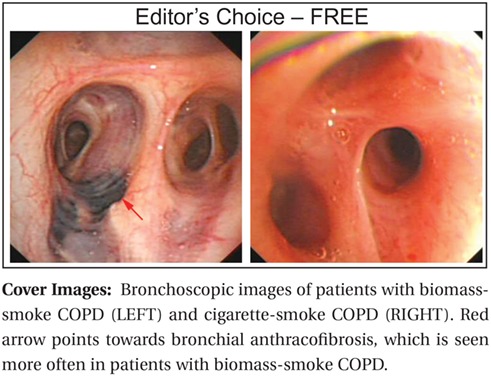 Editor's Choice