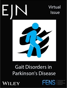Gait Disorders in Parkinson's Disease