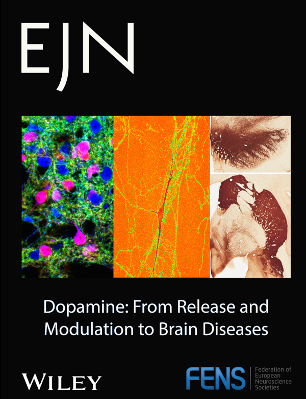 DOPAMINE: From Release and Modulation to Brain Diseases