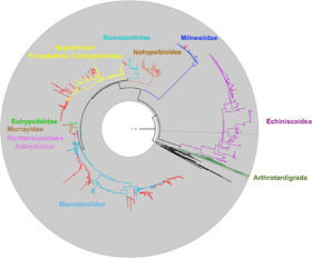 Figure from the article - The wealth of shared resources: Improving molecular taxonomy using eDNA and public databases