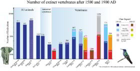 Author-provided figure: On the end of evolution – Humankind and the annihilation of species