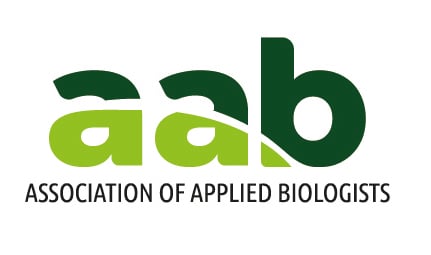 aab