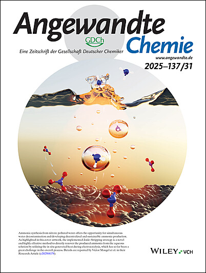 Outside Front Cover: Boosting Current Density of Electrocatalytic CO2 Reduction using Metal-Enzyme Hybrid Cathodes (Angew. Chem. 30/2025)