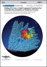 Frontispiz: Folding DNA into a Lipid-Conjugated Nanobarrel for Controlled Reconstitution of Membrane Proteins