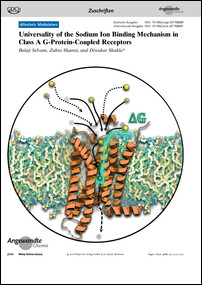 Frontispiz: Universality of the Sodium Ion Binding Mechanism in Class A G-Protein-Coupled Receptors