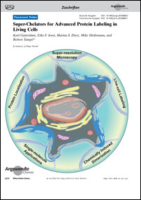 Frontispiz: Super-Chelators for Advanced Protein Labeling in Living Cells