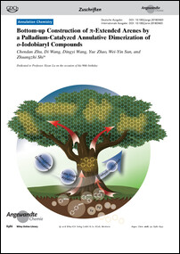 Frontispiz: Bottom-up Construction of π-Extended Arenes by a Palladium-Catalyzed Annulative Dimerization of o-Iodobiaryl Compounds