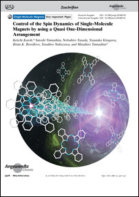 Frontispiz: Control of the Spin Dynamics of Single-Molecule Magnets by using a Quasi One-Dimensional Arrangement