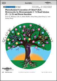 Frontispiz: Photochemical Generation of Chiral N,B,X-Heterocycles by Heteroaromatic C−X Bond Scission (X=S, O) and Boron Insertion