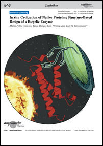 Frontispiz: In Situ Cyclization of Native Proteins: Structure-Based Design of a Bicyclic Enzyme