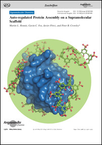 Frontispiz: Auto-regulated Protein Assembly on a Supramolecular Scaffold