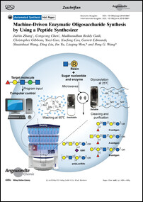 Frontispiz: Machine-Driven Enzymatic Oligosaccharide Synthesis by Using a Peptide Synthesizer
