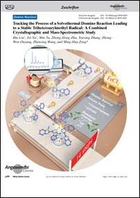 Frontispiz: Tracking the Process of a Solvothermal Domino Reaction Leading to a Stable Triheteroarylmethyl Radical: A Combined Crystallographic and Mass-Spectrometric Study