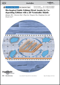 Frontispiz: Bio-Inspired Stable Lithium-Metal Anodes by Co-depositing Lithium with a 2D Vermiculite Shuttle