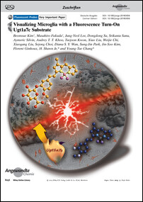 Frontispiz: Visualizing Microglia with a Fluorescence Turn-On Ugt1a7c Substrate
