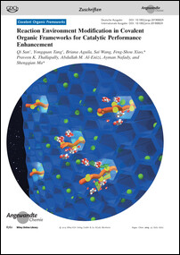 Frontispiz: Reaction Environment Modification in Covalent Organic Frameworks for Catalytic Performance Enhancement
