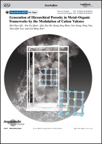 Frontispiz: Generation of Hierarchical Porosity in Metal-Organic Frameworks by the Modulation of Cation Valence