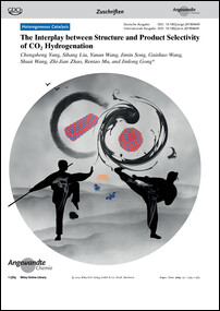 Frontispiz: The Interplay between Structure and Product Selectivity of CO2 Hydrogenation