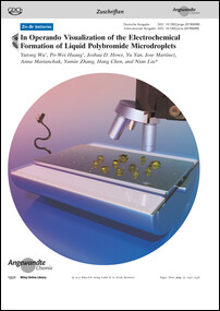 Frontispiz: In Operando Visualization of the Electrochemical Formation of Liquid Polybromide Microdroplets