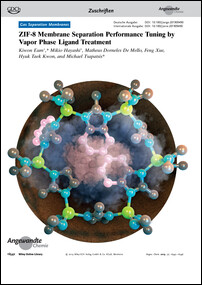 Frontispiz: ZIF-8 Membrane Separation Performance Tuning by Vapor Phase Ligand Treatment