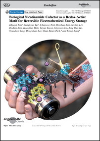 Frontispiz: Biological Nicotinamide Cofactor as a Redox-Active Motif for Reversible Electrochemical Energy Storage